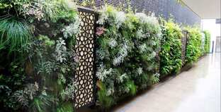 price-of-interior-designing-in-gurgaon-top-interior-designers